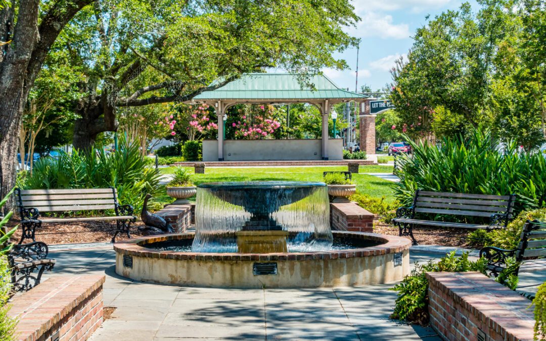Moving to Summerville, South Carolina: Helpful Local Resources for Lowcountry Homeowners